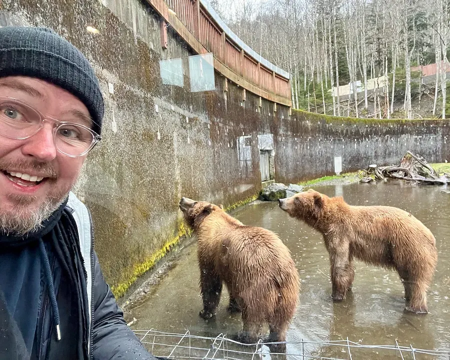Two bears reared in captivity at Fortress of the Bear in Alaska