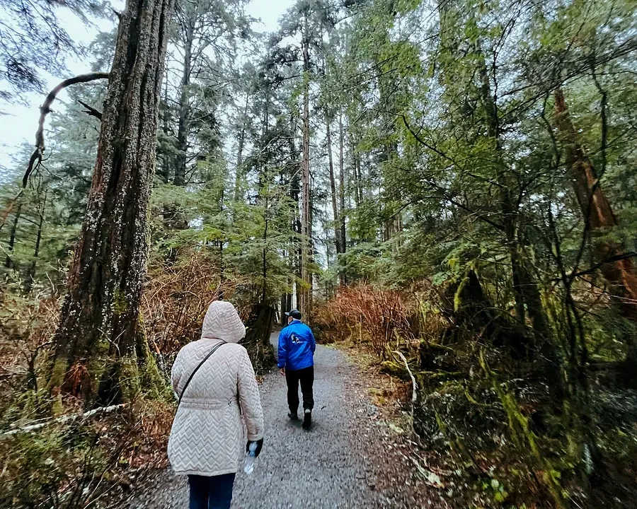 Walking through the national forest in Sitka