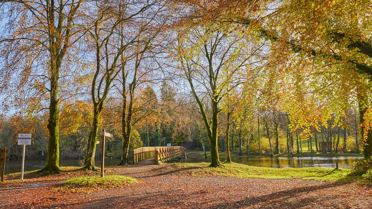 Killykeen Forest Park on Lough Oughter, County Cavan. Photo: Courtesy Failte Ireland / Tourism Ireland