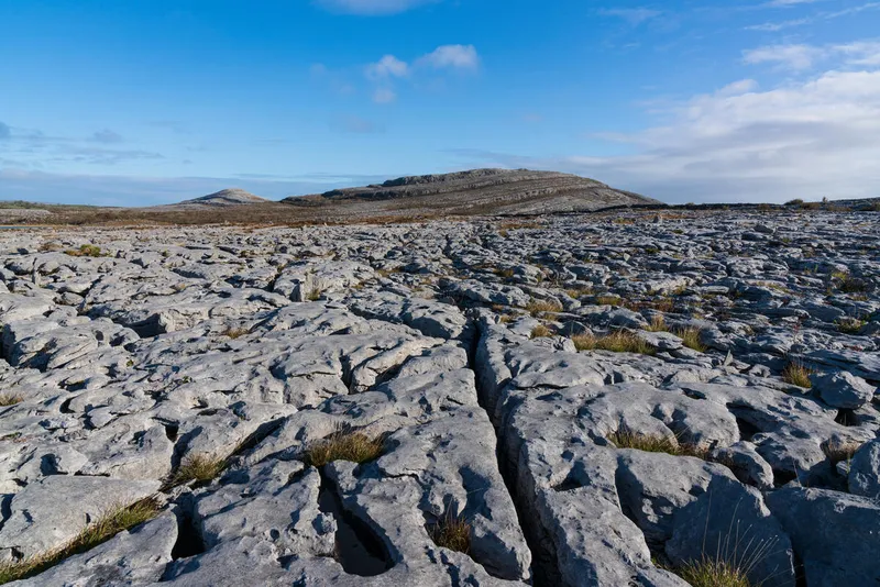 The Burren karst limestone landscape, County Clare. Photo: Mark Flagler / Copyright: Mark Flagler