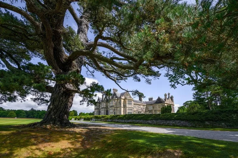 Muckross House, Killarney National Park, County Kerry. Copyright: Gareth Wray for Tourism Ireland