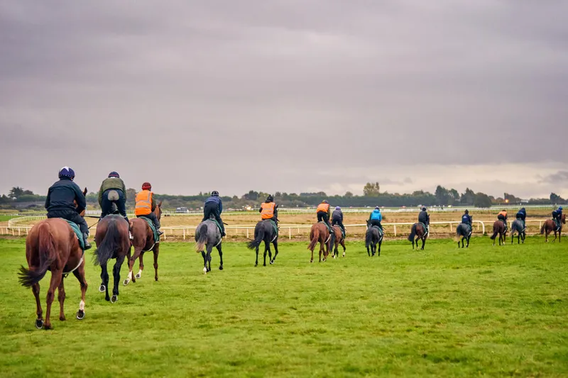 The Curragh racecourse at dawn with horses training. Photo: Copyright: Dominic James