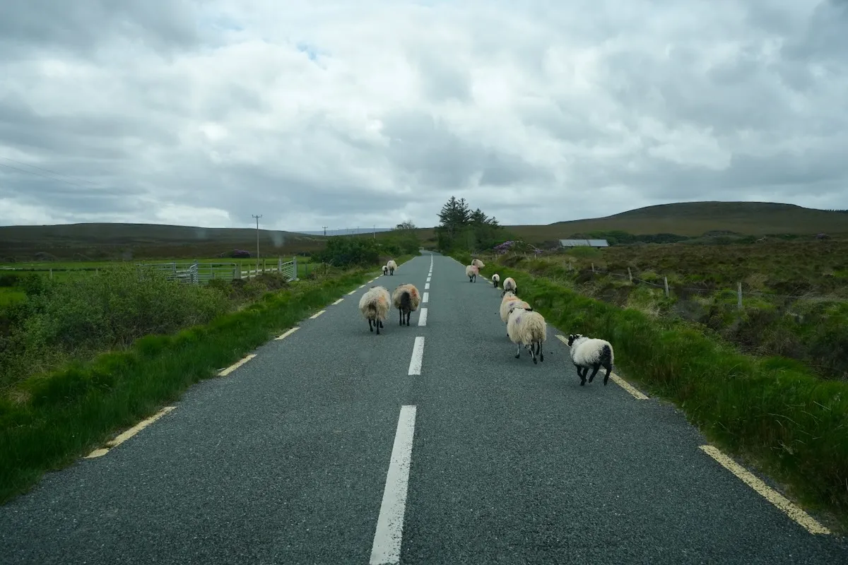 Clew Bay from the slopes of Croagh Patrick