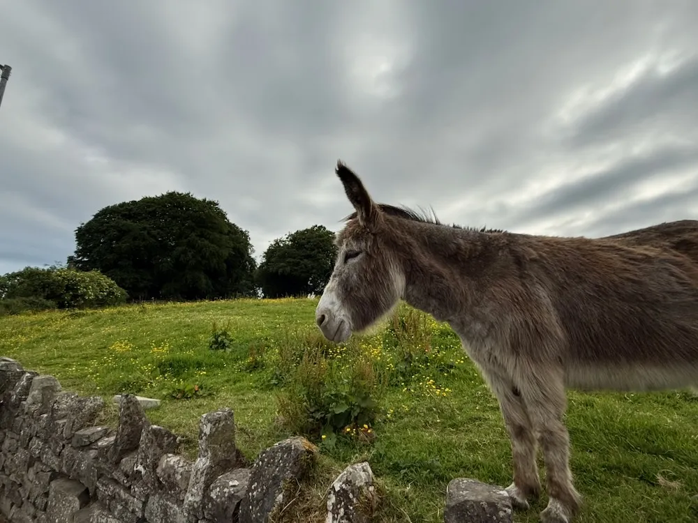 Boyne Valley, County Meath. Photo: Copyright: Tourism Ireland