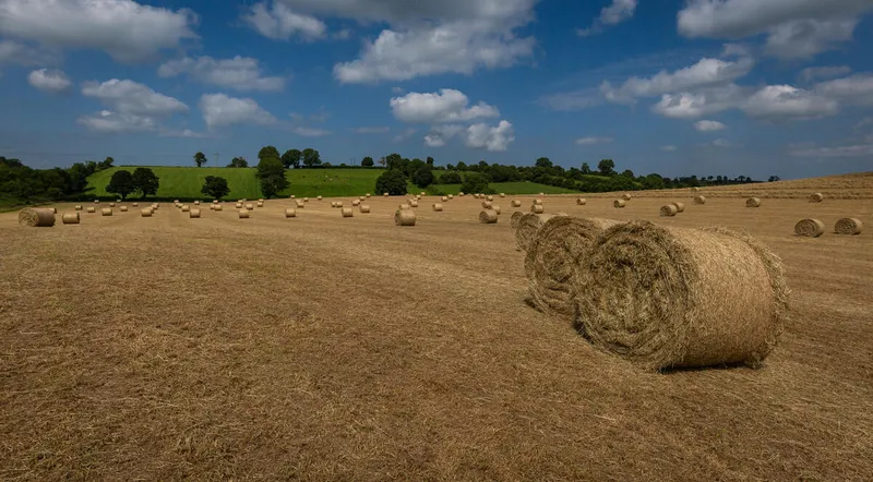 Monaghan drumlin landscape with rolling green hills