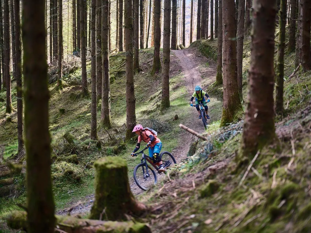 Mountain biking on the Slieve Bloom Mountain Trail, County Offaly. Courtesy Failte Ireland