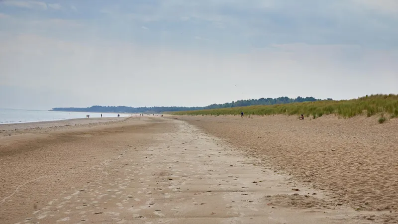 Curracloe Beach, County Wexford. Copyright: Failte Ireland