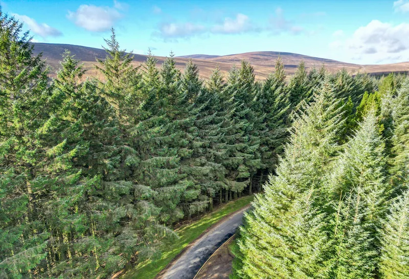 Sally Gap, Wicklow Mountains National Park, County Wicklow. Photo: Courtesy Failte Ireland / Copyright: Failte Ireland