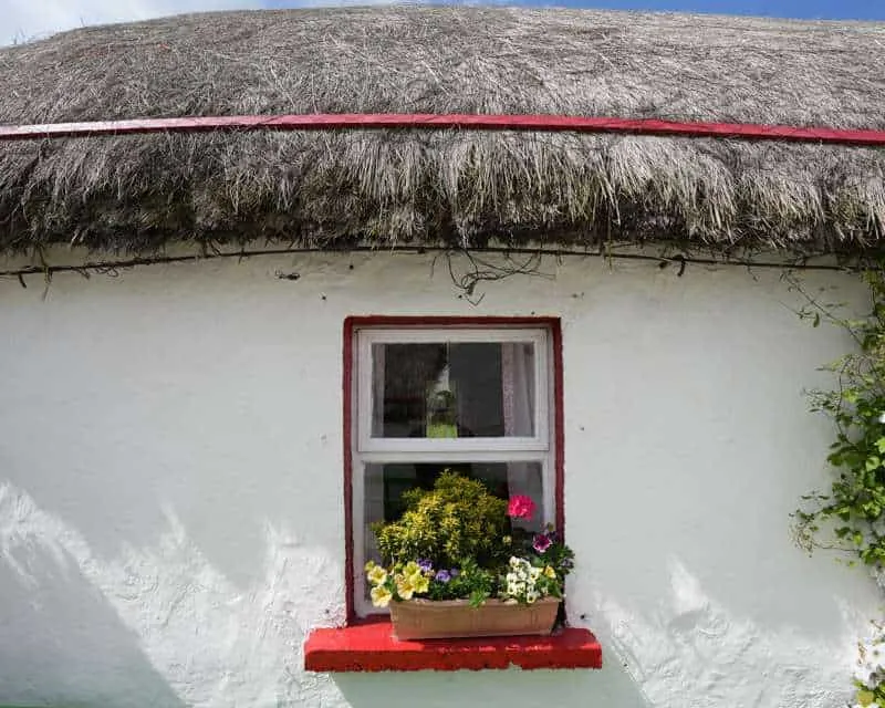 A small window with a flower box in a whitewashed Irish thatched cottage