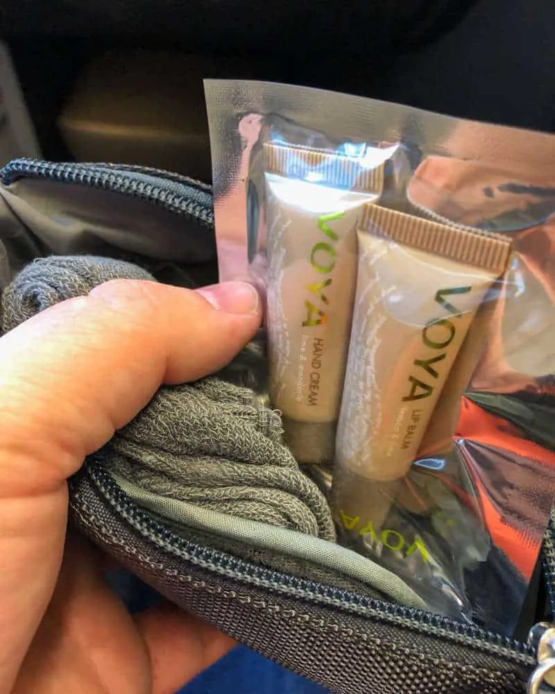 Aer Lingus business class amenities including Voya products 