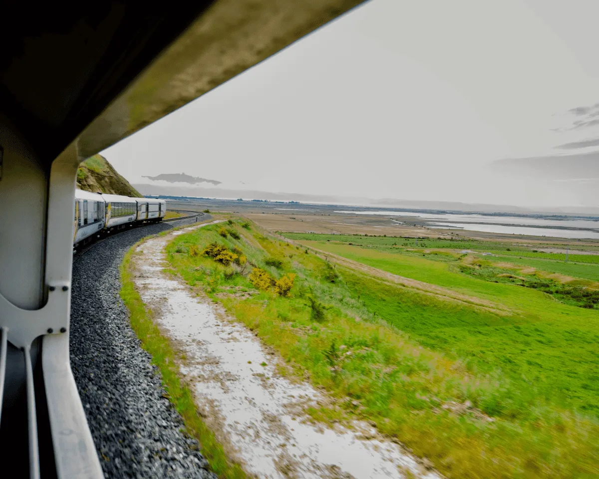 New Zealand by Train: Coastal Pacific Train from Christchurch to Picton