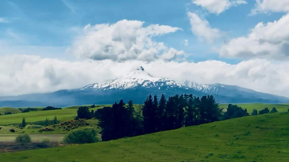 A view of Mount Ruapeha from the train