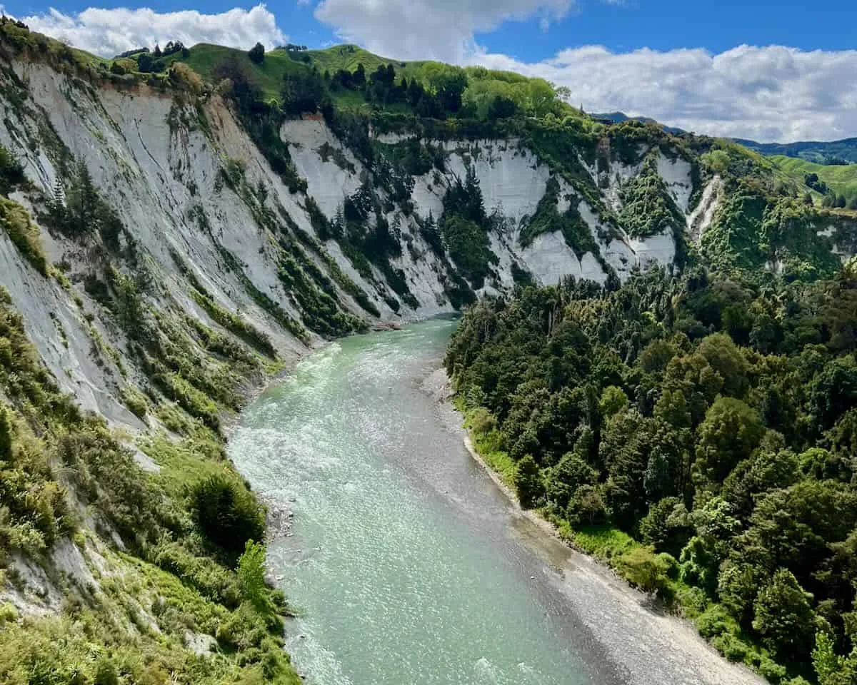 A view from a train of a deep New Zealand gorge