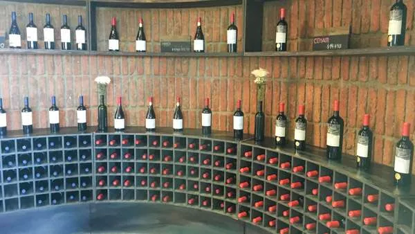 A wine cellar in Chile