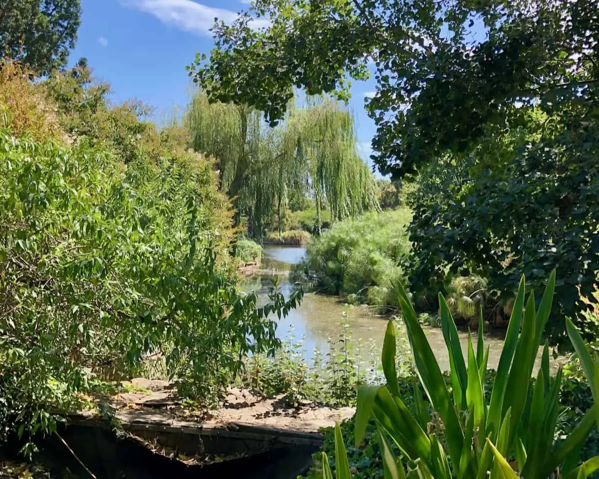 A view of Adelaide Botanic Gardens across a stream