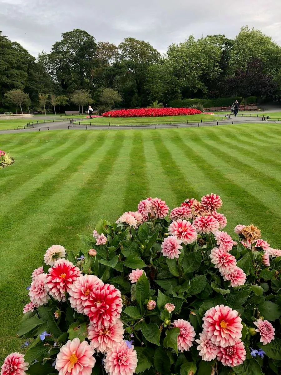 Flowers in Stephens Green