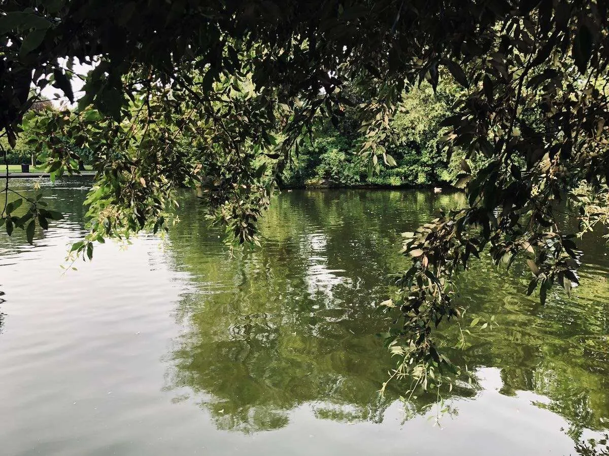 Pond in Stephens Green