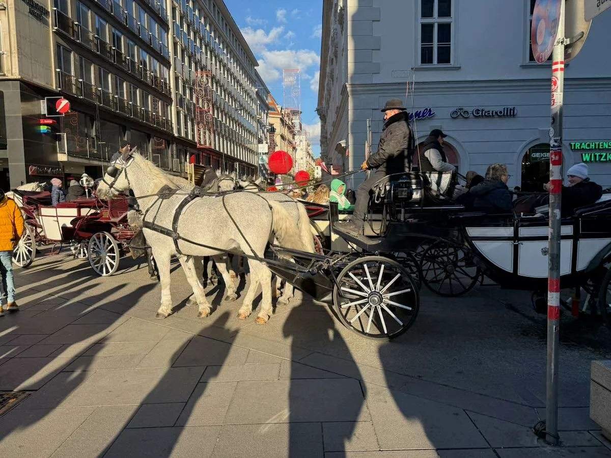 A horse and buggy in central Vienna