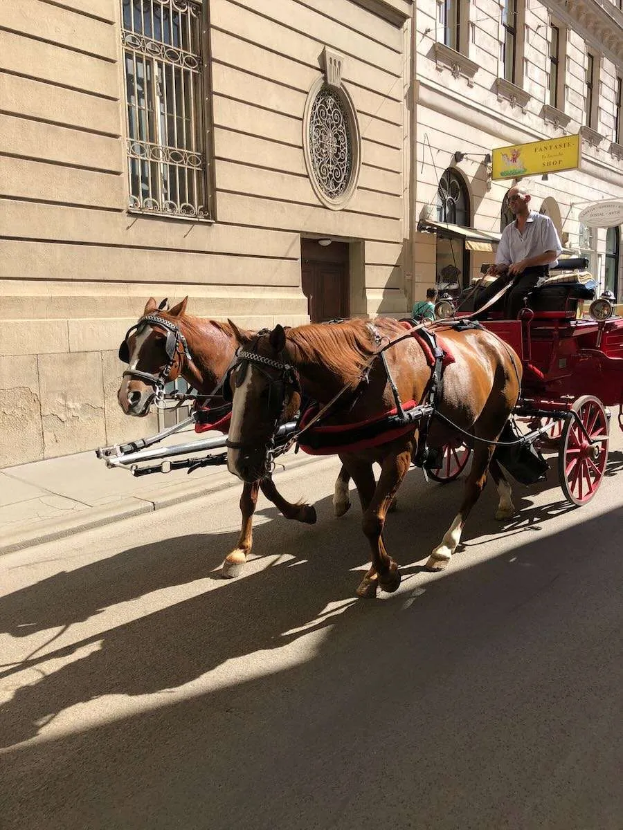 A horse and buggy in Vienna