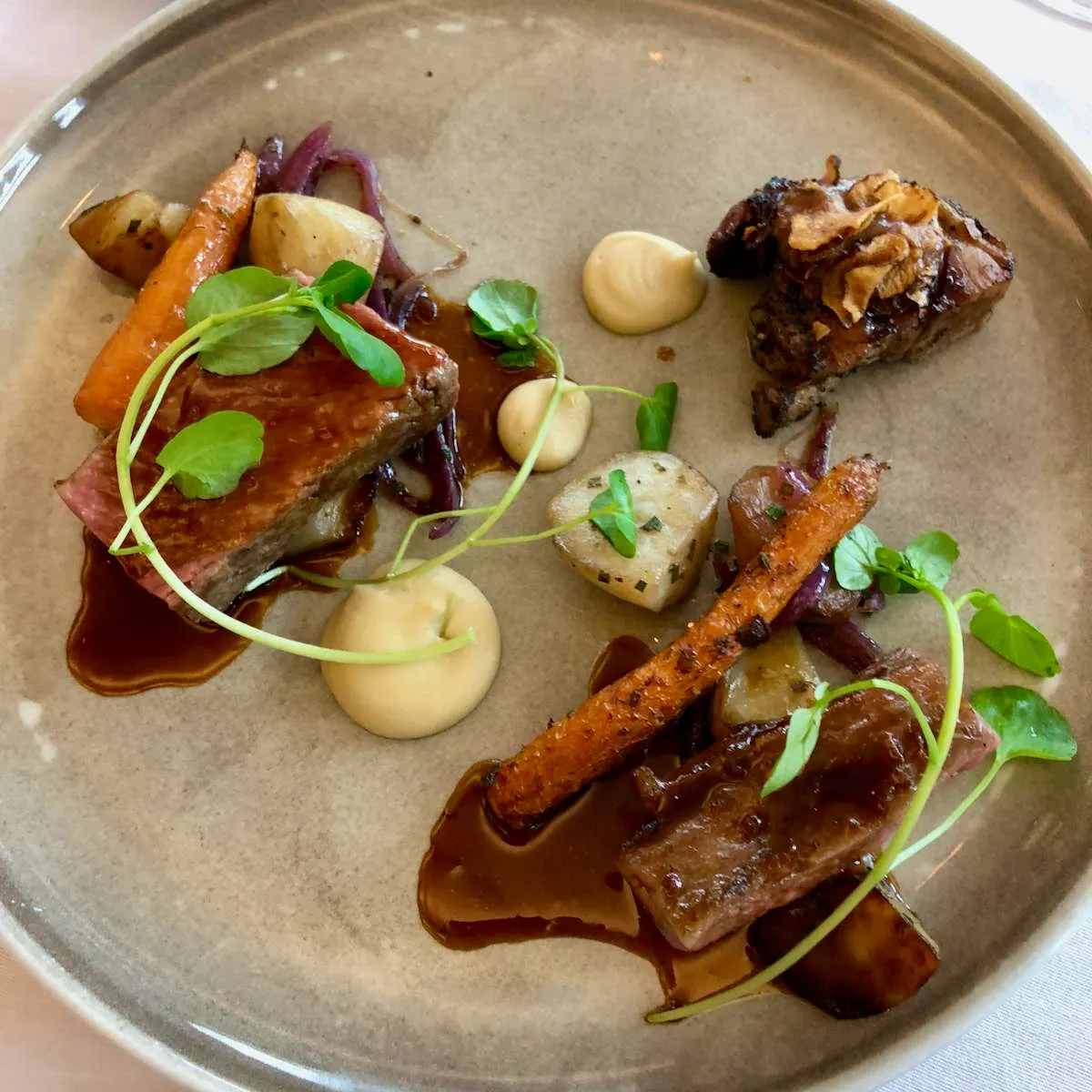 Beautifully plated meal at Lava, Iceland
