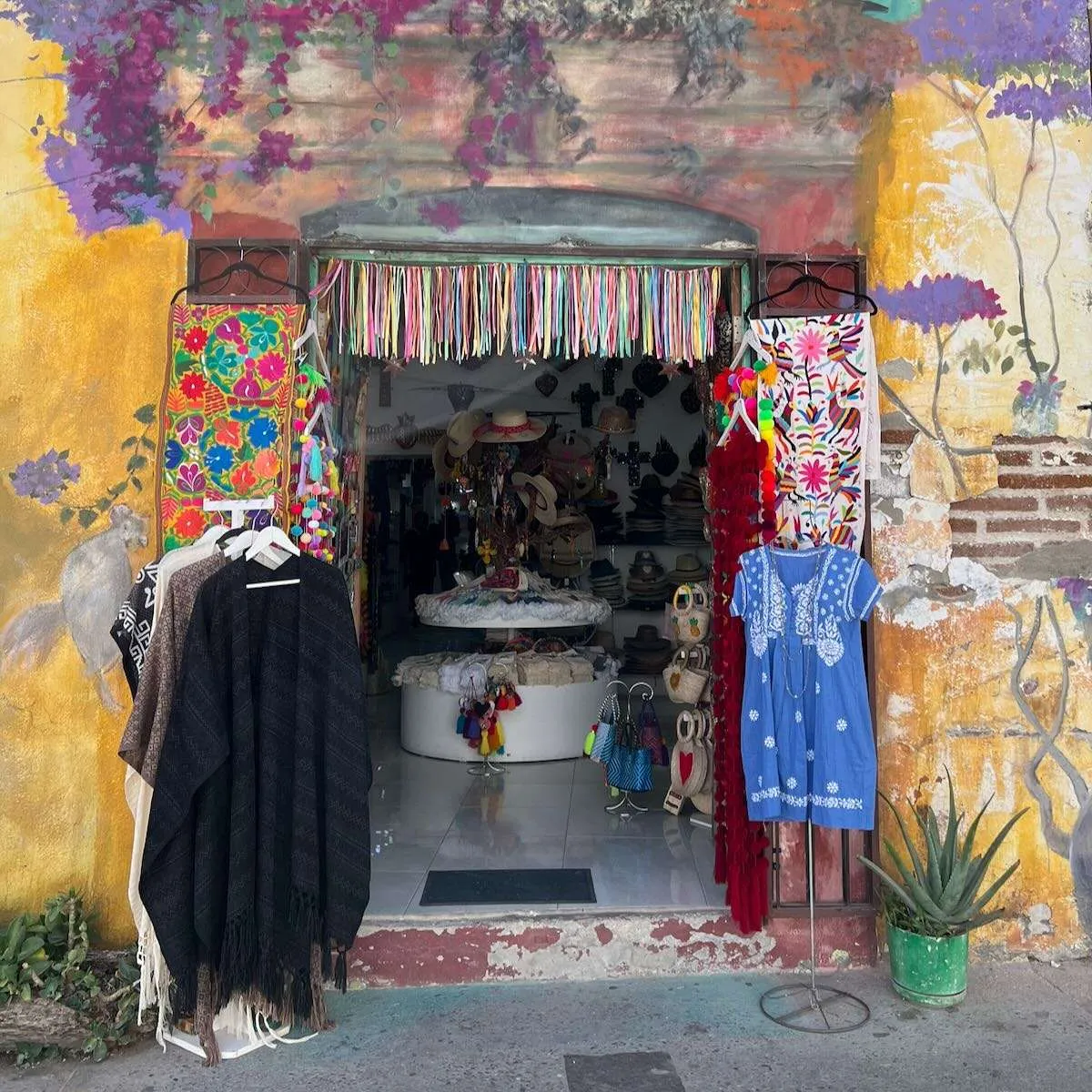 Shop front at San José del Cabo