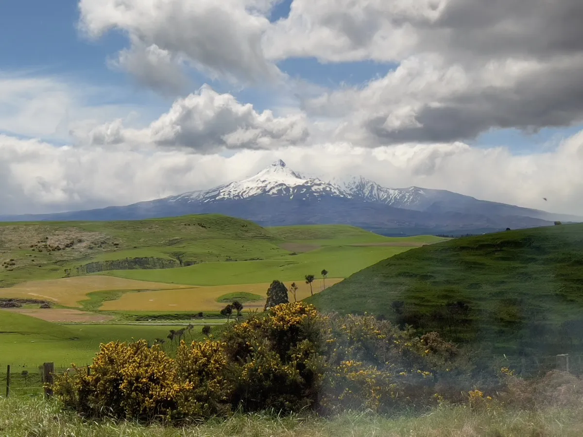 View of Waiouru from the Northern Explorer train