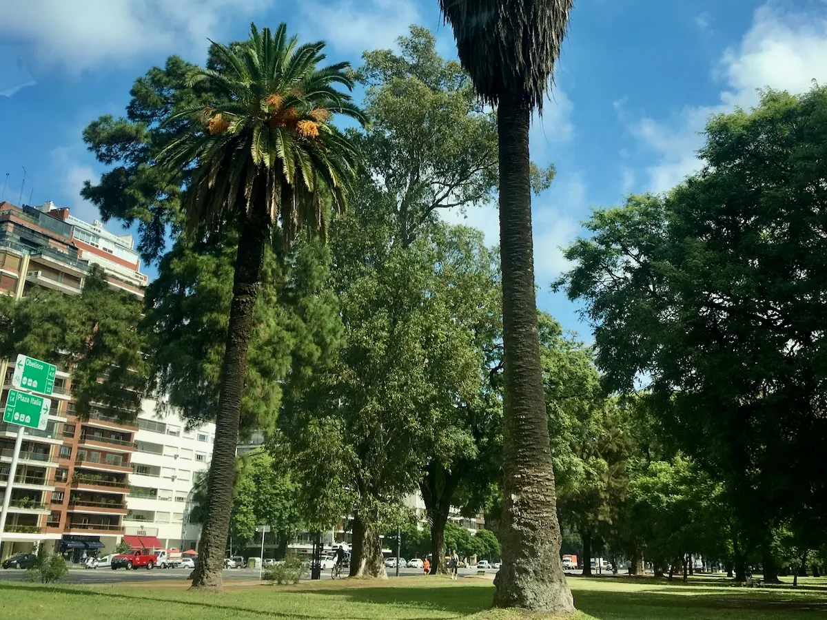 Buenos Aires neighbourhood street view