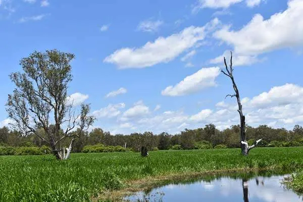 The beautiful sea and sky of Kakadu
