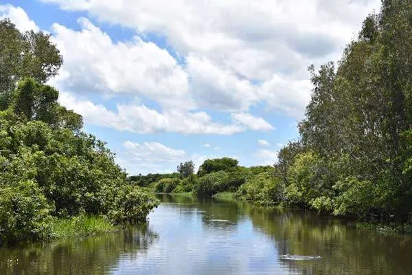 A view of the wetlands in Kakadu