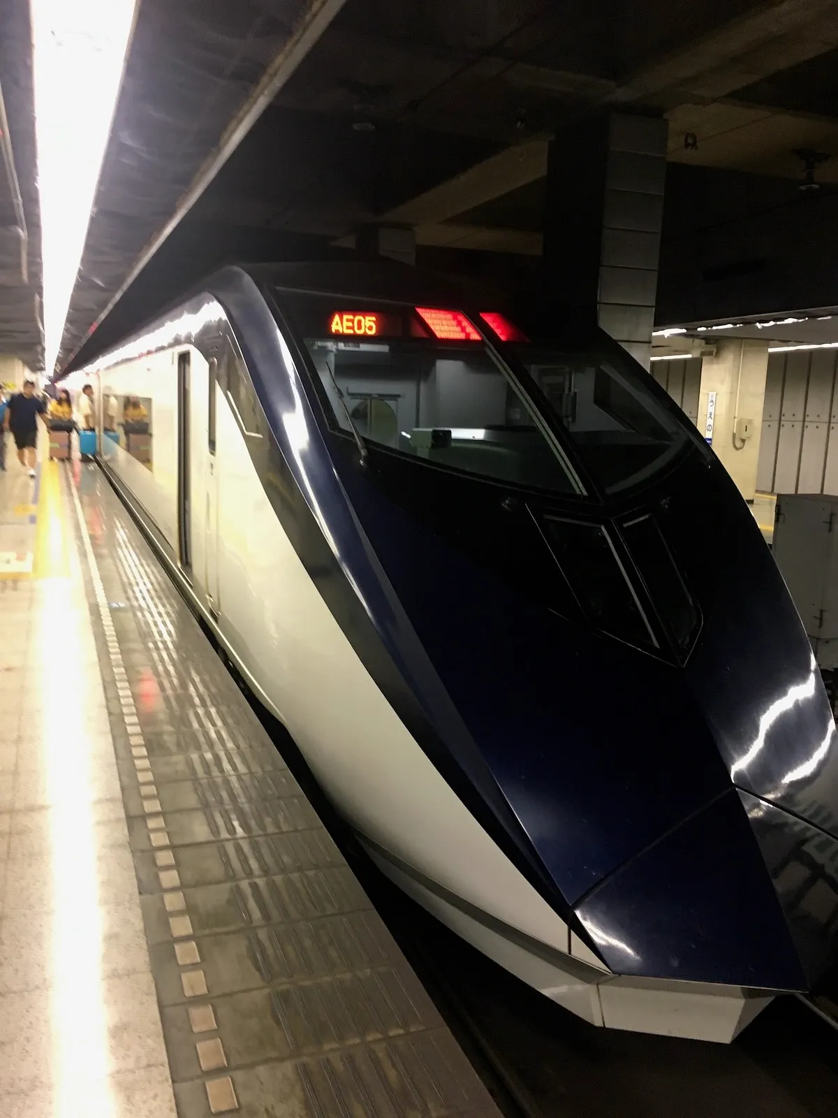 Keisei Skyliner at a Tokyo platform